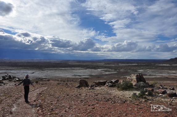 A grandiosidade da paisagem e do deserto patagônico no Monumento Natural Bosques Petrificados, região de Caleta Olivia, no sul da Argentina